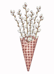 Watercolor illustrations of blossoming pussy willow twigs in a waffle cup for ice cream isolated on a white background