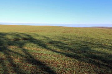 Spring landscape in the field