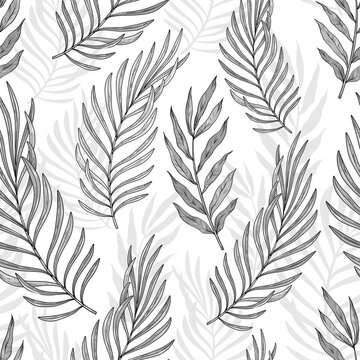 Tropical palm leaves seamless monochrome floral jungle pattern