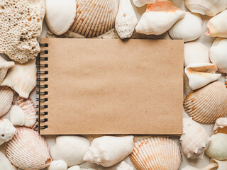 Seashells lying on the sand. Beautiful card. Close-up, view from above