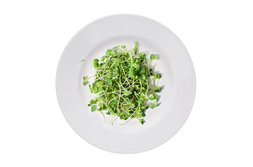 Lots of radish microgreens on a white plate. Isolated on white background. View from above