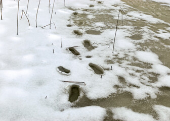 wet lake surface, footprints on ice, snow texture
