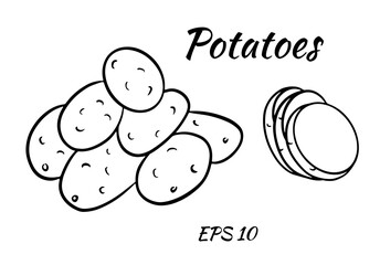 Vector set with colorful image of potatoes. cut potatoes into slices. Vector set isolated on white background.