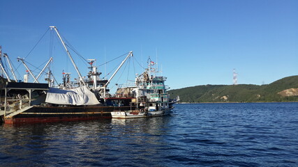 fisher boats in the port