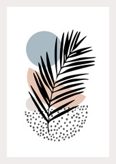 Modern illustration with tropical palm leaf, doodle textures, minimal elements
