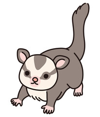 フクロモモンガのイラスト