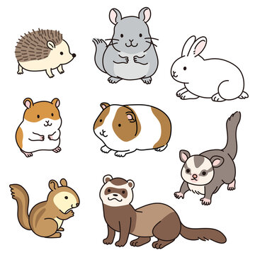 13 2 Best 小動物 Images Stock Photos Vectors Adobe Stock 13 2 Best 小動物 Images Stock Photos Vectors Adobe Stock