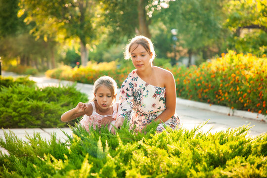 Two sisters looking at a green bush and enjoying a sunny day in the park