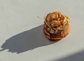 gladiolus flower bulb with shadow