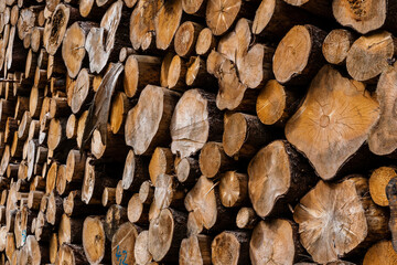 wood biomass timer nature lumber