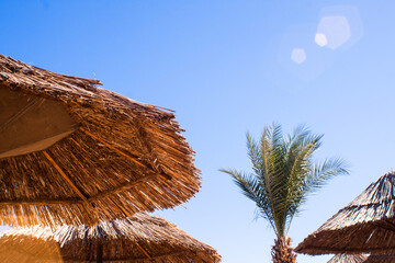 Straw beach umbrella against a clear blue sky with a palm tree. Red Sea, Sharm El Sheikh, Egypt,...