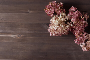 dry inflorescences of hydrangeas on a wooden background. composition in shabby chic styles. simple flat composition, copy space