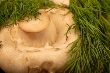 Poster Fresh young mushrooms and juicy green dill on the table. © Андрей Захаров