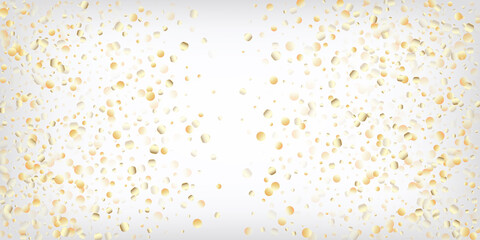 Gold, Silver Rich Flying Bokeh Confetti.