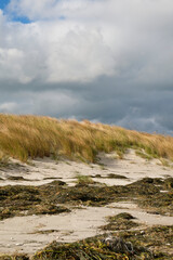 Nordstrand und Dünen  im Ostseebad Prerow auf dem Darß, Fischland-Darß-Zingst, Mecklenburg Vorpommern, Deutschland
