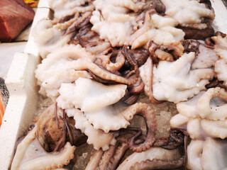 Cuttlefish in open seamarket