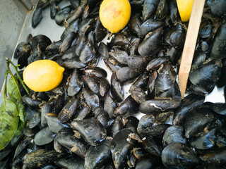 Mussels in open seamarket