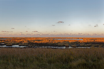 Abendstimmung am Darßer Ort an der Ostsee in der Kernzone des Nationalpark Vorpommersche Boddenlandschaft am Darßer Weststrand, Mecklenburg Vorpommern, Deutschland