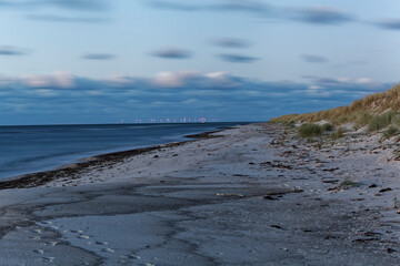 Abendstimmung am Darßer Ort an der Ostsee in der Kernzone des Nationalpark Vorpommersche Boddenlandschaft am Darßer Weststrand, Mecklenburg Vorpommern, Deutschland