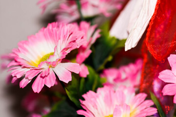 kwiaty róże © Krzysztof  Jaworski