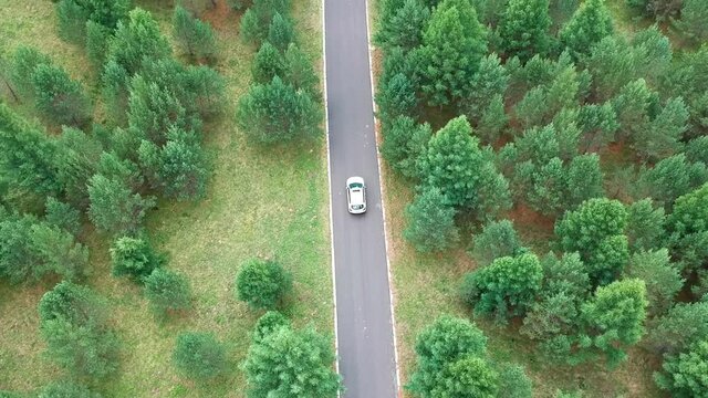 Aerial photos of cars driving in the forests of Ulan Butong grassland, lush forests in summer