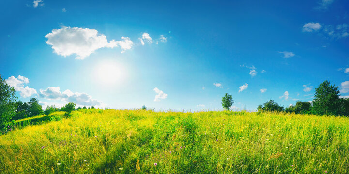 Beautiful summer natural  landscape. Green grass in meadow on background blue sky with clouds and sun on warm summer day. Bright colorful image of nature.