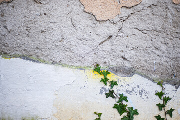 old wall surface with crumbling plaster. Grunge cement background. The dilapidated facade of the...