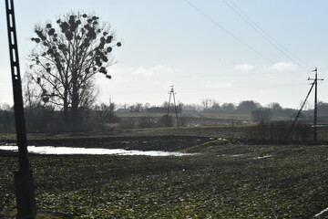 Obraz premium elektyczność