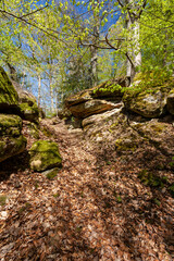 Felsenlabyrinth unterhalb der Ruine der Nordburg Lichtenstein in Lichtenstein, Naturpark Haßberge, Landkreis Hassberge, Unterfranken, Franken, Bayern, Deutschland