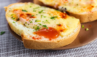Two delicious sandwiches with melted cheese and herbs on a saucer. A quick snack.