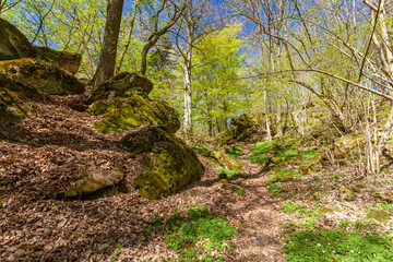 Fototapeta premium Felsenlabyrinth unterhalb der Ruine der Nordburg Lichtenstein in Lichtenstein, Naturpark Haßberge, Landkreis Hassberge, Unterfranken, Franken, Bayern, Deutschland