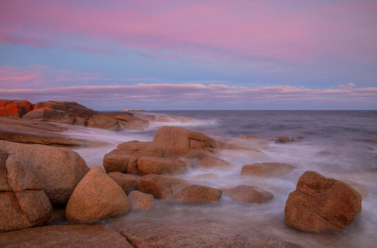 Beautiful , autumn , sunset , over scenic rock shelf. Of the coast of Bicheno , East Coast of Tasmania , Australia.