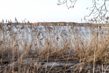 WROCLAW, POLAND - FEBRUARY 22, 2021: The Milicz Ponds (Polish: Stawy Milickie). Nature Reserve in Barycz Valley Landscape Park. Lower Silesian Voivodeship, Poland, Europe. - obrazy, fototapety, plakaty