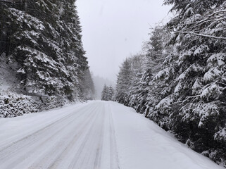 Obraz premium Snowy road in a winter forest