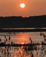 WROCLAW, POLAND - FEBRUARY 22, 2021: Beautiful sunset over a frozen lake. The Milicz Ponds (Polish: Stawy Milickie). Nature Reserve in Barycz Valley Landscape Park, Poland, Europe.