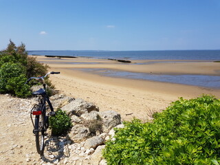 Paysages du Bassin d'Arcachon