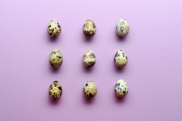 Quail eggs pattern. quail eggs on violet background. Pattern.
