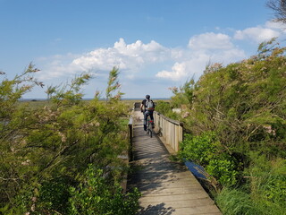 Paysages du Bassin d'Arcachon