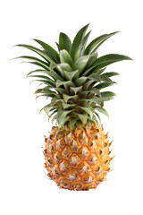 Ripe pineapple fruits isolated on a white background.