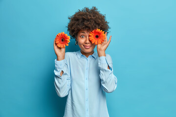 Half length shot of happy curly haired young woman covers eyes with orange gerberas likes flowers has good mood wears shirt isolated over blue background. Pleased female florist makes bouquets