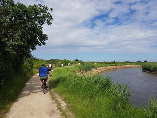 Obraz premium Paysages du Bassin d'Arcachon