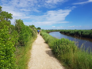 Paysages du Bassin d'Arcachon