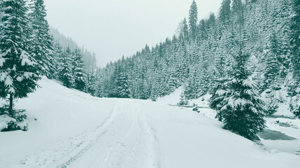 beautiful winter landscape of the carpathians with a mountain river and snowy road