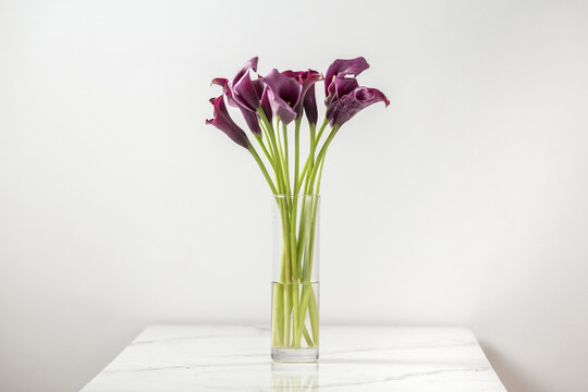 Calla Lilies Vase Images – Browse 1,502 Stock Photos, Vectors, and ...