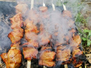 shish kebab on a skewer