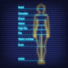 Female, male neon glow size chart anatomy human, people dummy front view side body silhouette isolated on wall background flat vector illustration.