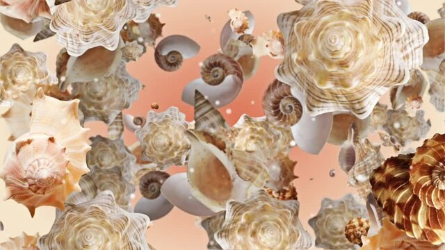 Starfish Shell Background Looped Video