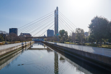 木場公園を流れる川と吊り橋