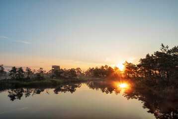 sunrise in a swamp in Estonia