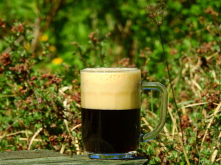 Beer mug with dark beer and foam at the top in an early springtime garden
